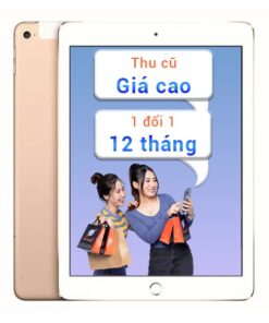iPad Air 2 16GB 4G + Wifi (2014) Cũ 99%