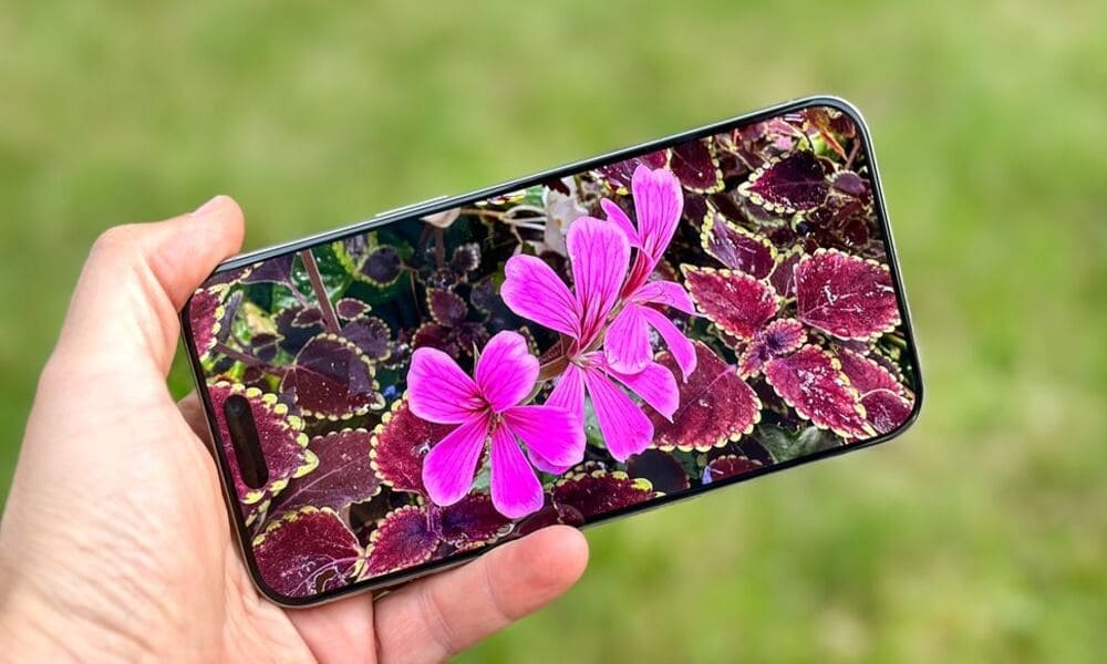 Viền màn hình siêu mỏng cùng màn hình lớn của iPhone 15 Pro Max 256GB cũ