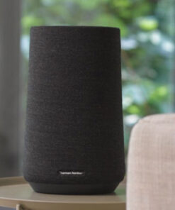 Loa Bluetooth Harman Kardon Citation 100 Chính hãng